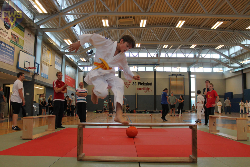 images/Bezirksoffene Judo-Safari 2018 der SG Weixdorf-157.jpg